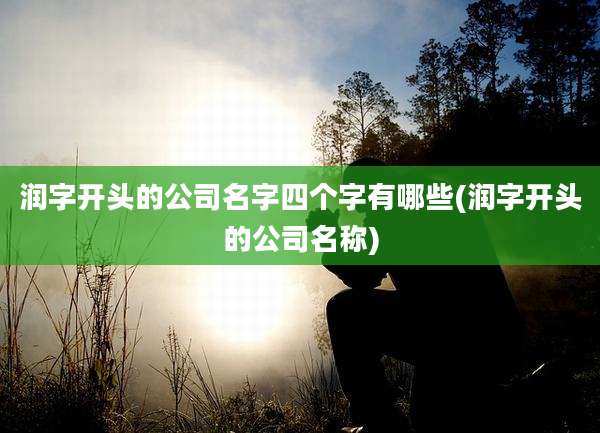 润字开头的公司名字四个字有哪些(润字开头的公司名称)