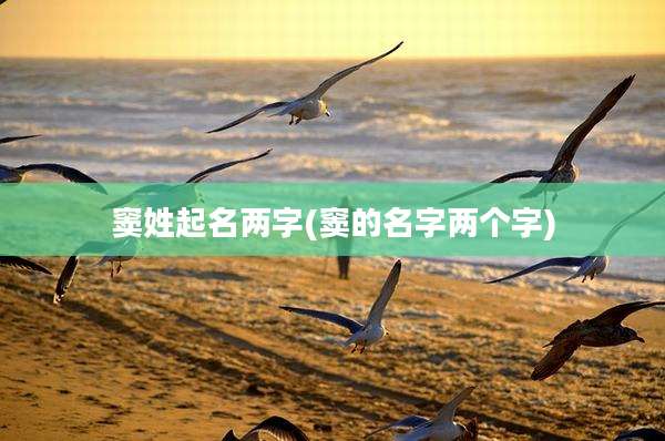 窦姓起名两字(窦的名字两个字)