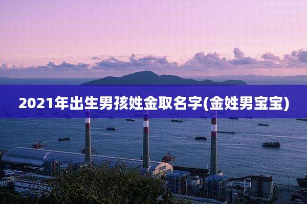 2021年出生男孩姓金取名字(金姓男宝宝)