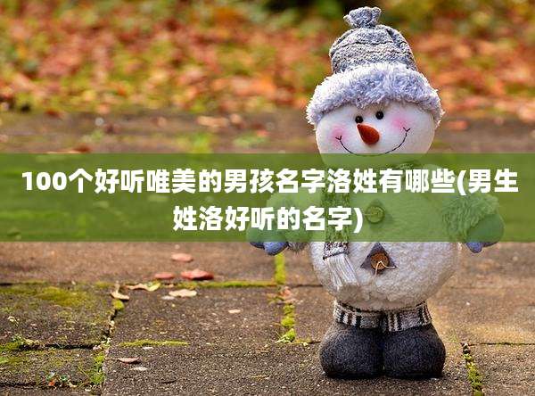 100个好听唯美的男孩名字洛姓有哪些(男生姓洛好听的名字)
