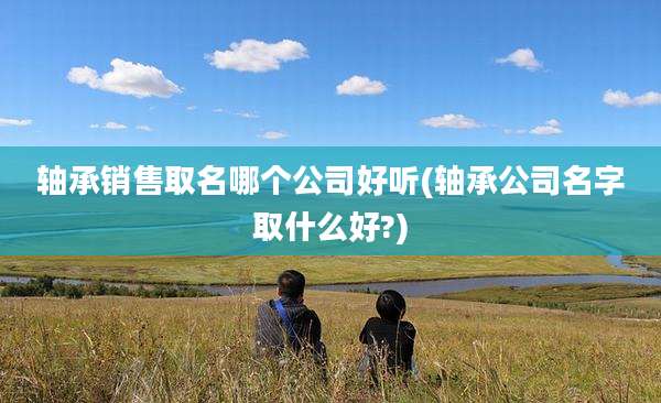 轴承销售取名哪个公司好听(轴承公司名字取什么好?)