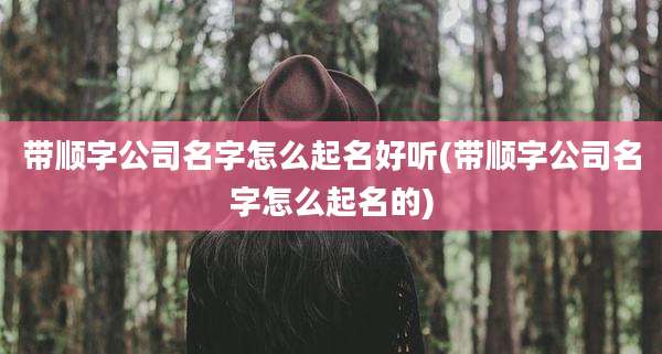 带顺字公司名字怎么起名好听(带顺字公司名字怎么起名的)