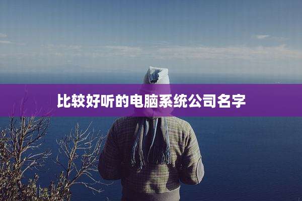 比较好听的电脑系统公司名字