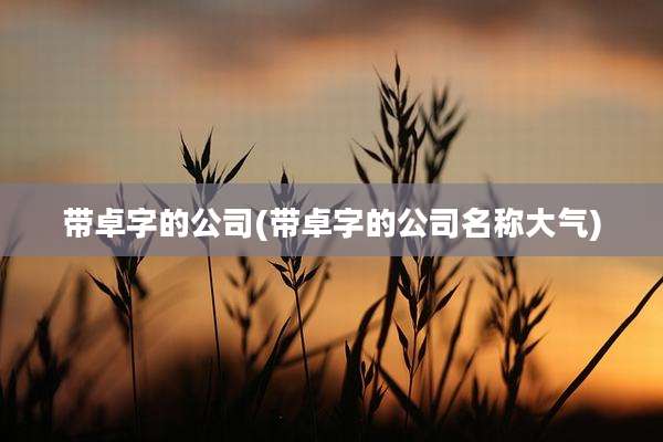 带卓字的公司(带卓字的公司名称大气)