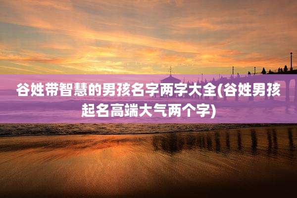 谷姓带智慧的男孩名字两字大全(谷姓男孩起名高端大气两个字)