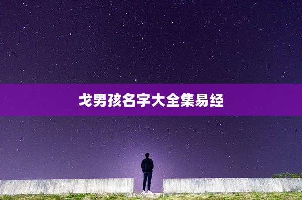 戈男孩名字大全集易经