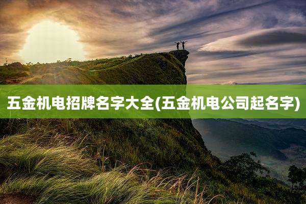 五金机电招牌名字大全(五金机电公司起名字)