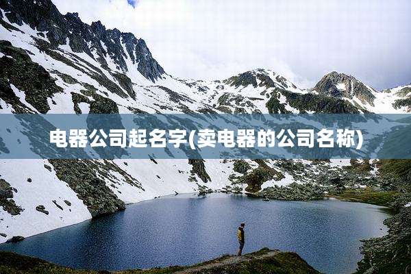 电器公司起名字(卖电器的公司名称)