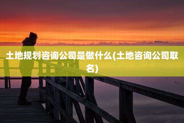 土地规划咨询公司是做什么(土地咨询公司取名)