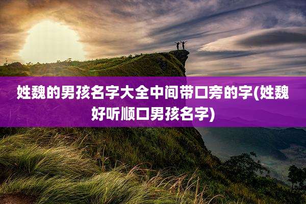 姓魏的男孩名字大全中间带口旁的字(姓魏好听顺口男孩名字)