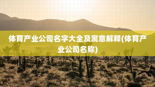 体育产业公司名字大全及寓意解释(体育产业公司名称)