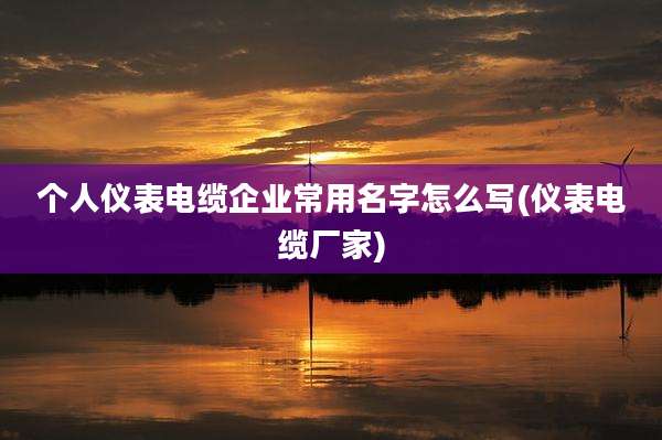 个人仪表电缆企业常用名字怎么写(仪表电缆厂家)