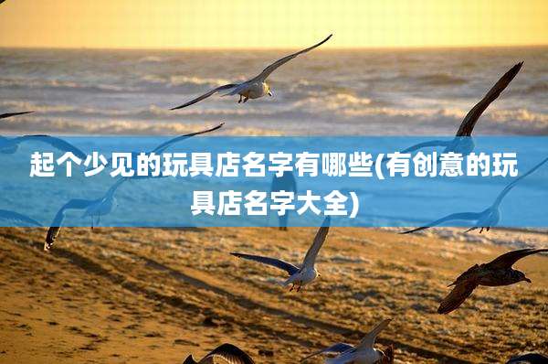 起个少见的玩具店名字有哪些(有创意的玩具店名字大全)