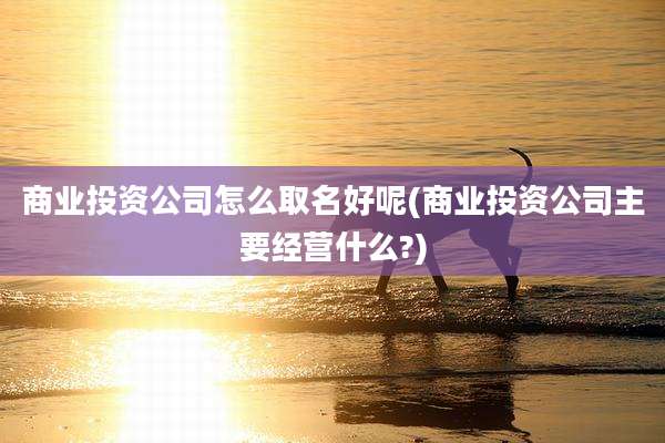 商业投资公司怎么取名好呢(商业投资公司主要经营什么?)