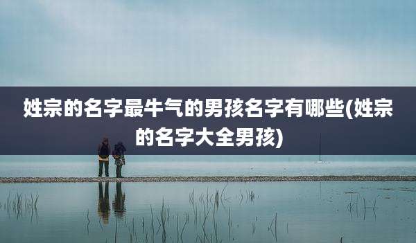 姓宗的名字最牛气的男孩名字有哪些(姓宗的名字大全男孩)