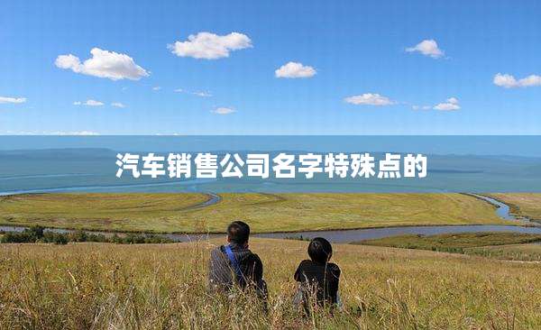汽车销售公司名字特殊点的
