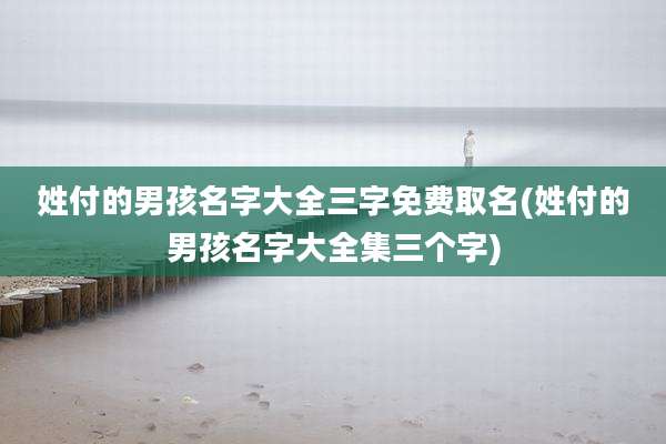 姓付的男孩名字大全三字免费取名(姓付的男孩名字大全集三个字)