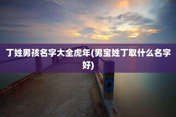 丁姓男孩名字大全虎年(男宝姓丁取什么名字好)