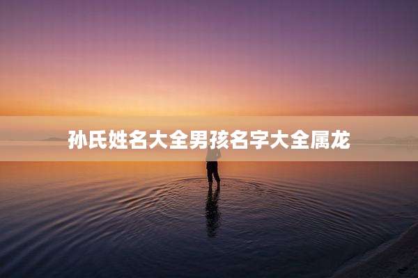 孙氏姓名大全男孩名字大全属龙