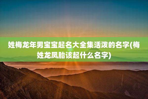 姓梅龙年男宝宝起名大全集活泼的名字(梅姓龙凤胎该起什么名字)