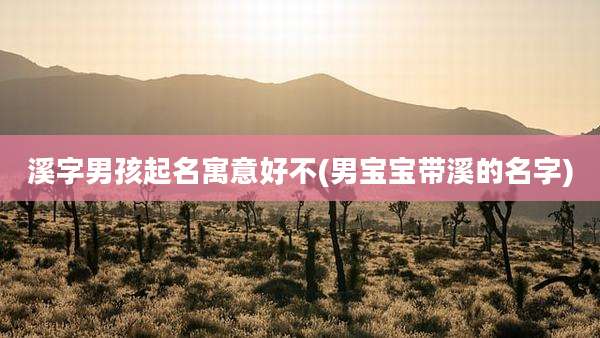 溪字男孩起名寓意好不(男宝宝带溪的名字)