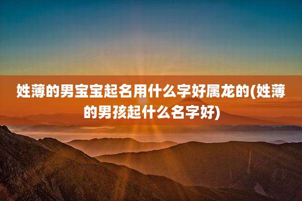 姓薄的男宝宝起名用什么字好属龙的(姓薄的男孩起什么名字好)