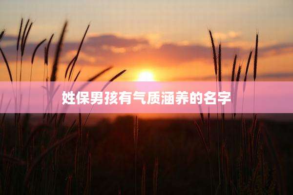姓保男孩有气质涵养的名字