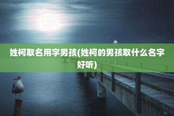 姓柯取名用字男孩(姓柯的男孩取什么名字好听)