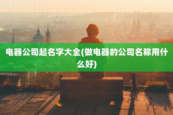 电器公司起名字大全(做电器的公司名称用什么好)