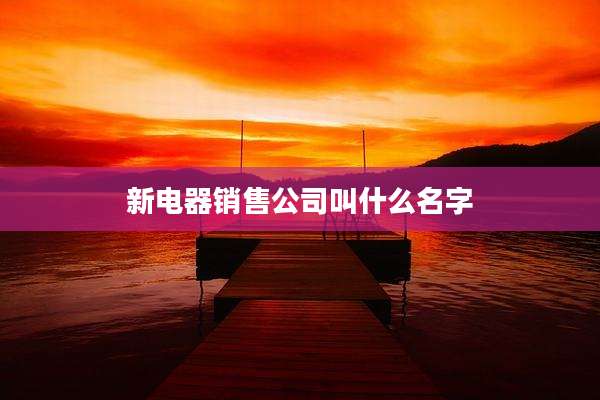 新电器销售公司叫什么名字