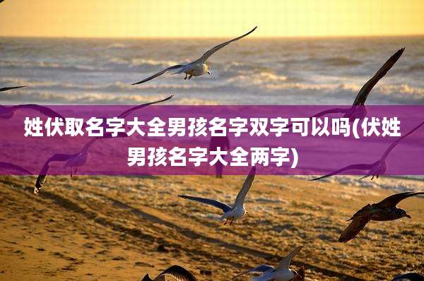 姓伏取名字大全男孩名字双字可以吗(伏姓男孩名字大全两字)