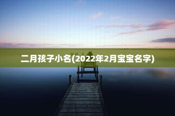 二月孩子小名(2022年2月宝宝名字)