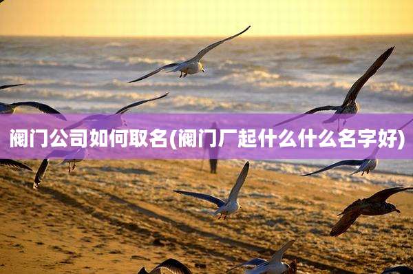 阀门公司如何取名(阀门厂起什么什么名字好)