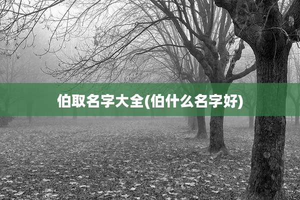 伯取名字大全(伯什么名字好)