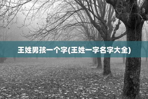 王姓男孩一个字(王姓一字名字大全)