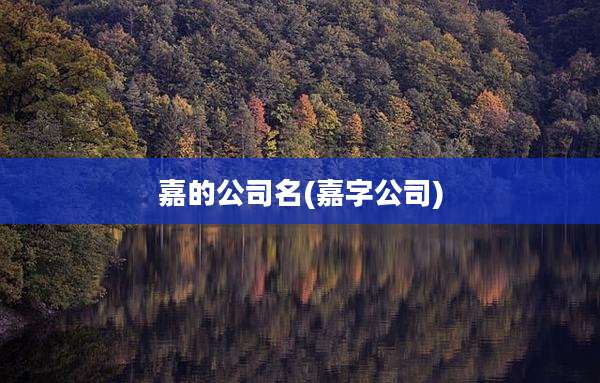 嘉的公司名(嘉字公司)