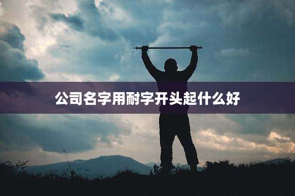 公司名字用耐字开头起什么好