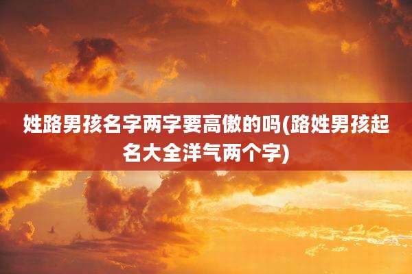 姓路男孩名字两字要高傲的吗(路姓男孩起名大全洋气两个字)