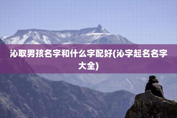 沁取男孩名字和什么字配好(沁字起名名字大全)