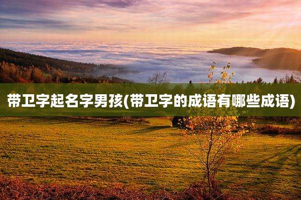带卫字起名字男孩(带卫字的成语有哪些成语)