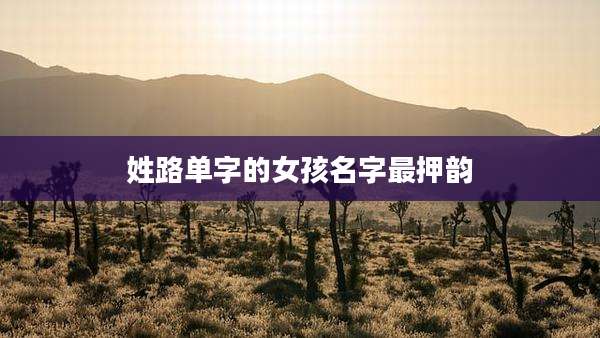 姓路单字的女孩名字最押韵