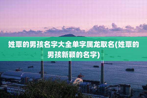 姓覃的男孩名字大全单字属龙取名(姓覃的男孩新颖的名字)