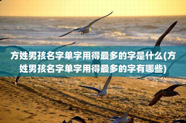 方姓男孩名字单字用得最多的字是什么(方姓男孩名字单字用得最多的字有哪些)