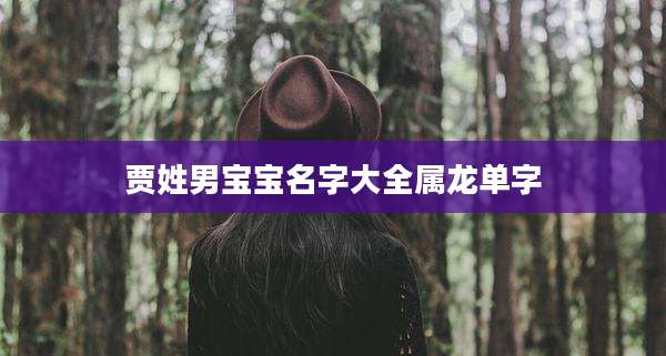 贾姓男宝宝名字大全属龙单字