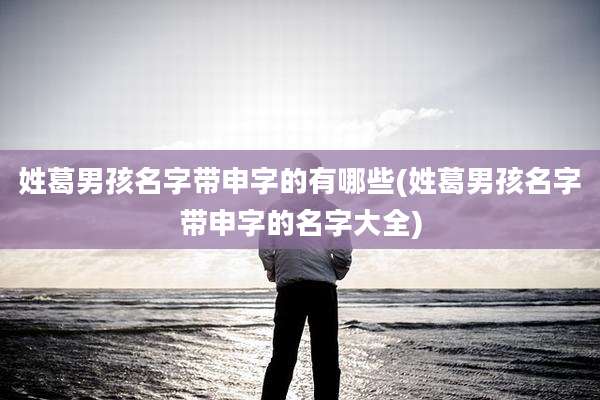 姓葛男孩名字带申字的有哪些(姓葛男孩名字带申字的名字大全)