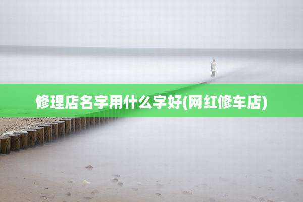 修理店名字用什么字好(网红修车店)