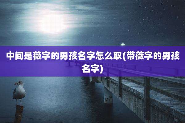 中间是薇字的男孩名字怎么取(带薇字的男孩名字)