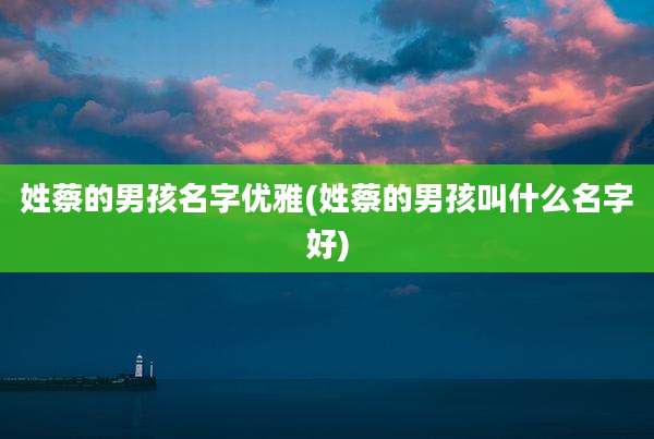 姓蔡的男孩名字优雅(姓蔡的男孩叫什么名字好)