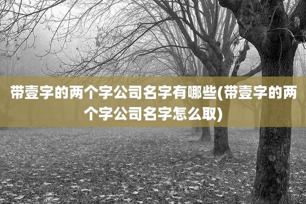 带壹字的两个字公司名字有哪些(带壹字的两个字公司名字怎么取)