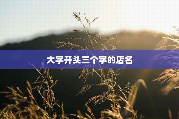 大字开头三个字的店名